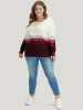 Ombre Contrast Pointelle Knit Round Neck Knit Top sold by Bloomchic