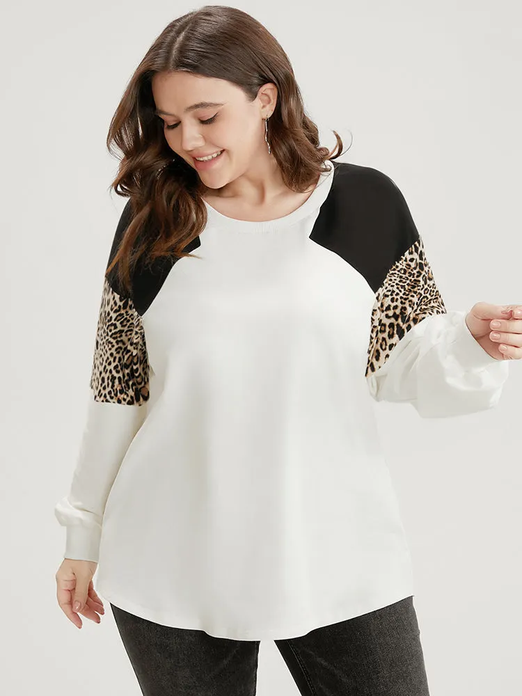 Colorblock Contrast Round Neck Drop Shoulder Sweatshirt sold by Bloomchic product image thumbnail 2