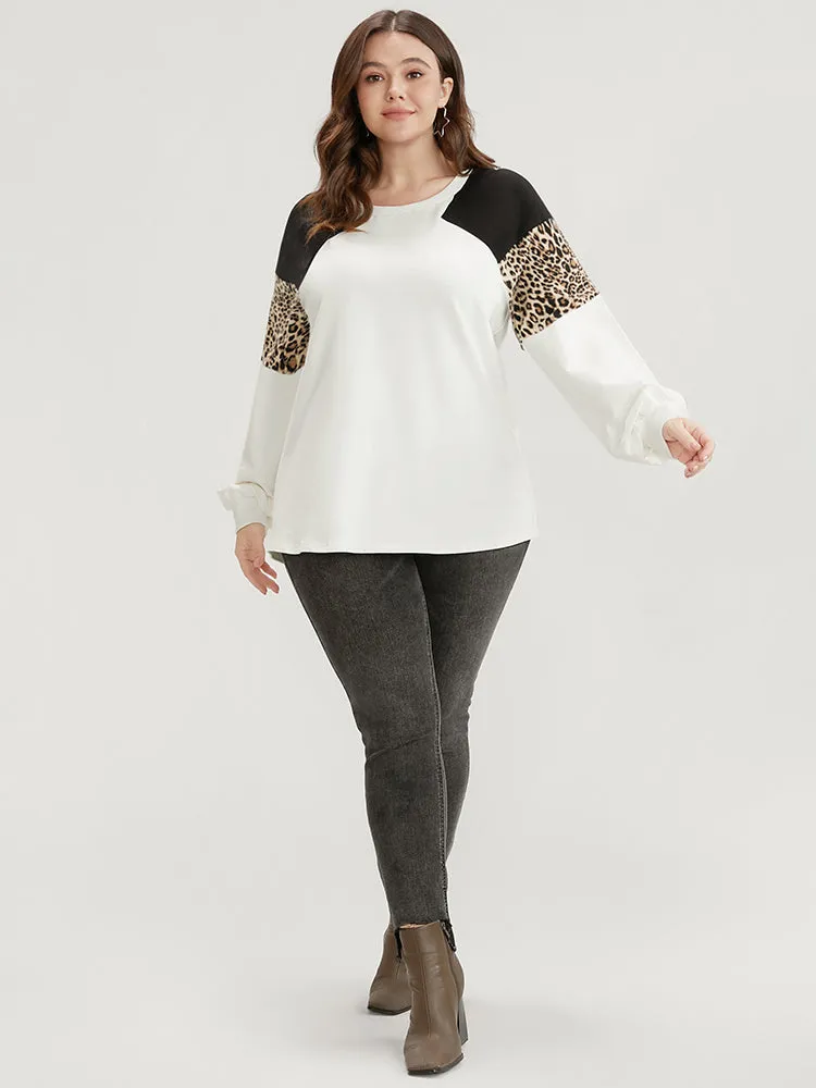 Colorblock Contrast Round Neck Drop Shoulder Sweatshirt sold by Bloomchic product image thumbnail 3