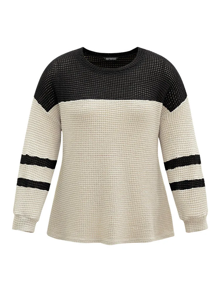 Contrast Waffle Knit Striped Round Neck T-shirt sold by Bloomchic product image thumbnail 5
