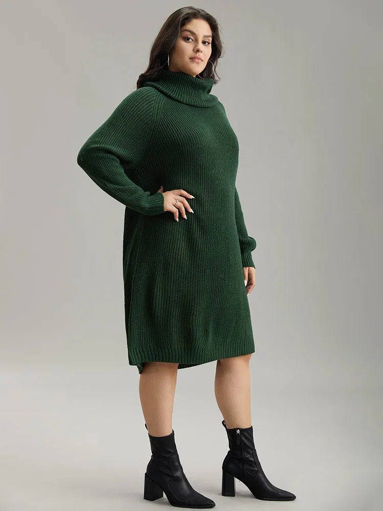 Solid Plisse Turtle Neck Knee Sweater Dress sold by Bloomchic product image thumbnail 3