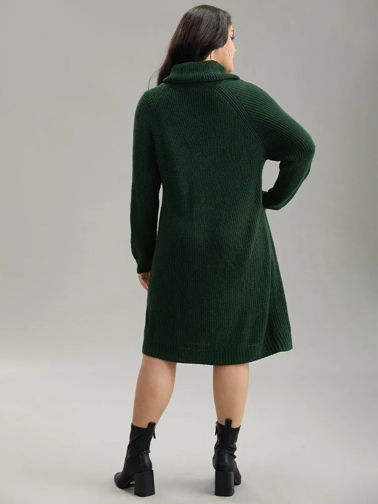Solid Plisse Turtle Neck Knee Sweater Dress sold by Bloomchic product image thumbnail 2
