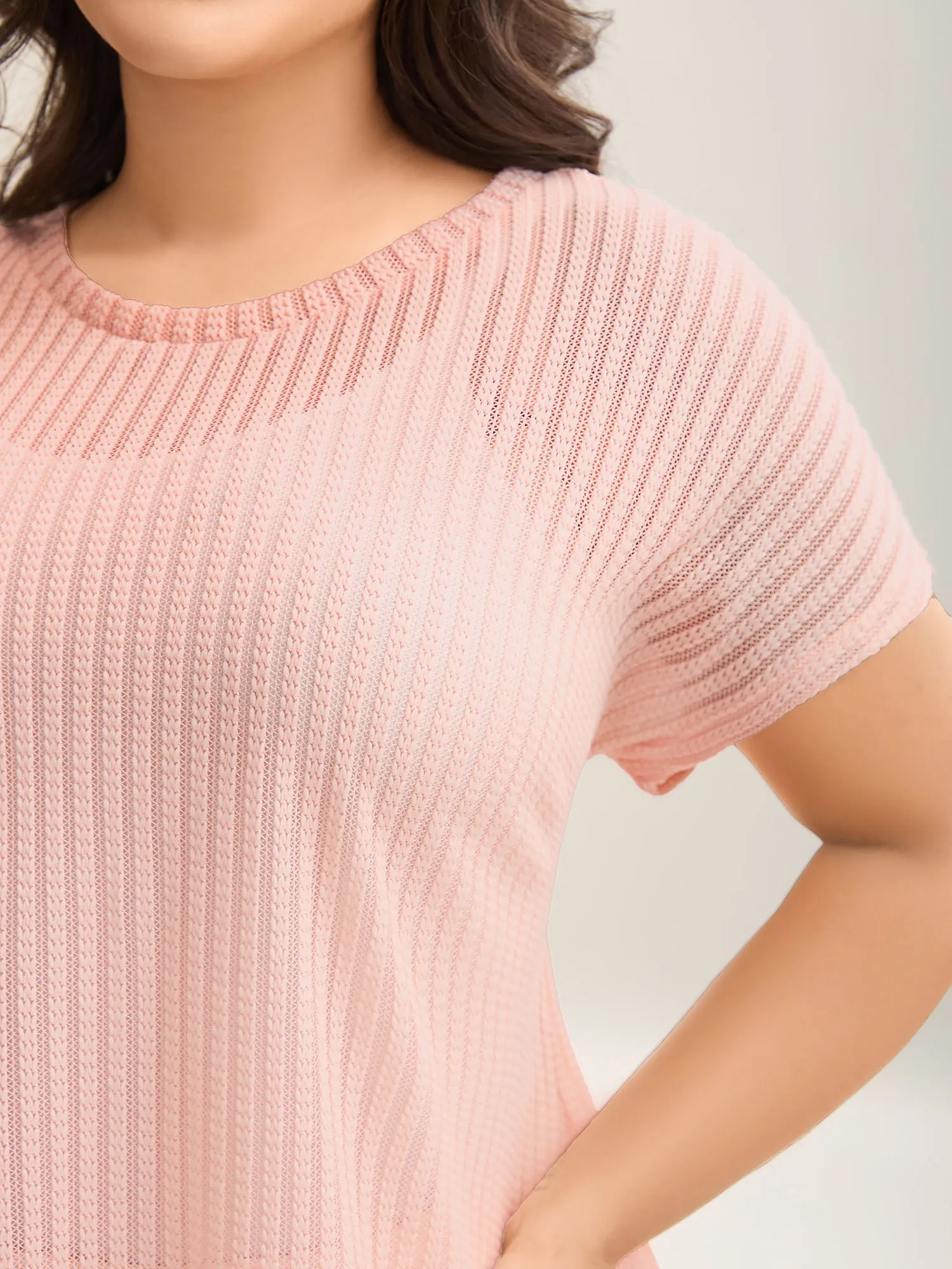 Sheer Stretchy Knit Crewneck Top sold by Bloomchic product image thumbnail 2