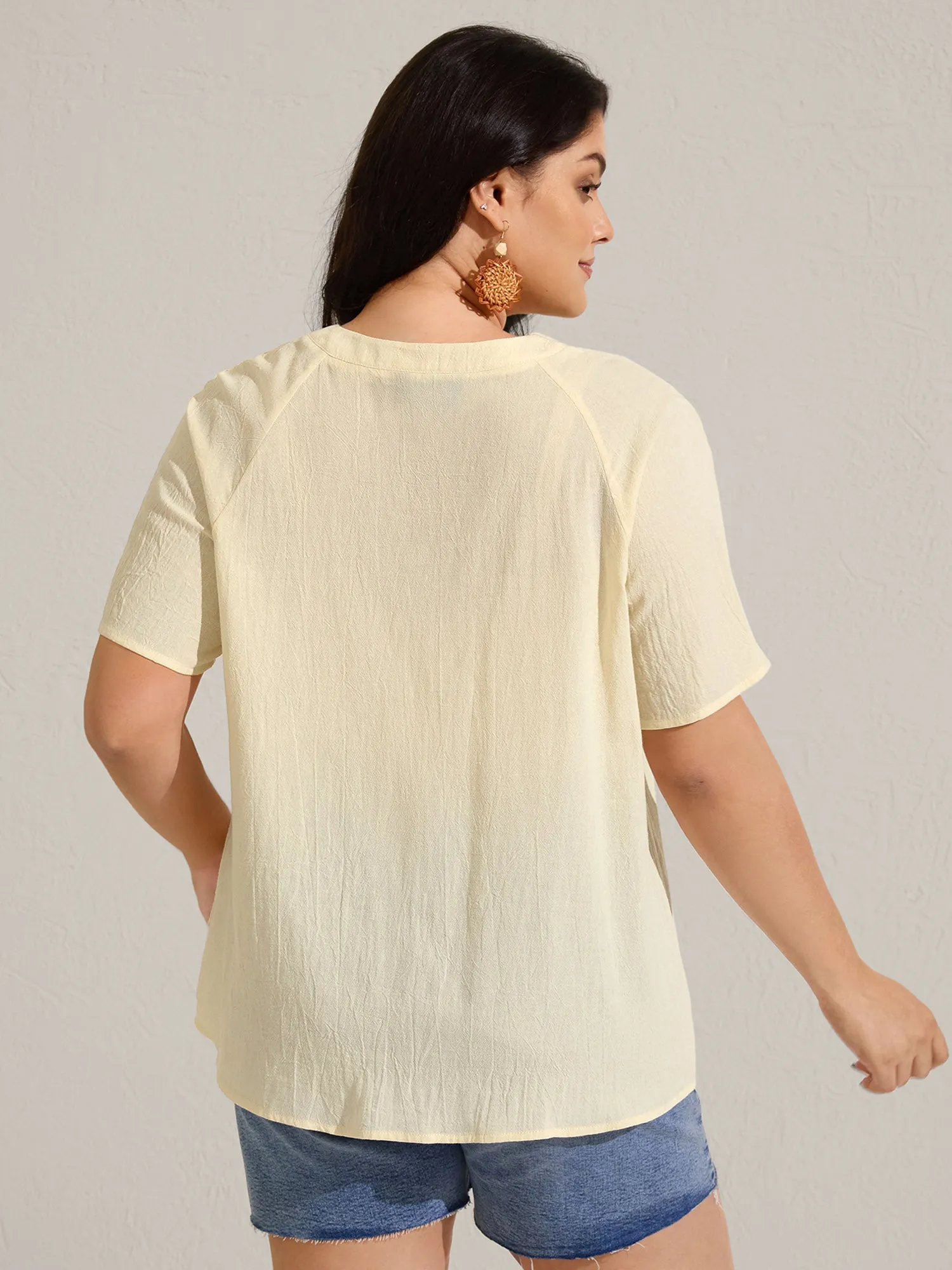 Cotton Stripe Neckline Notched Pleated Sheer Blouse sold by Bloomchic product image thumbnail 4