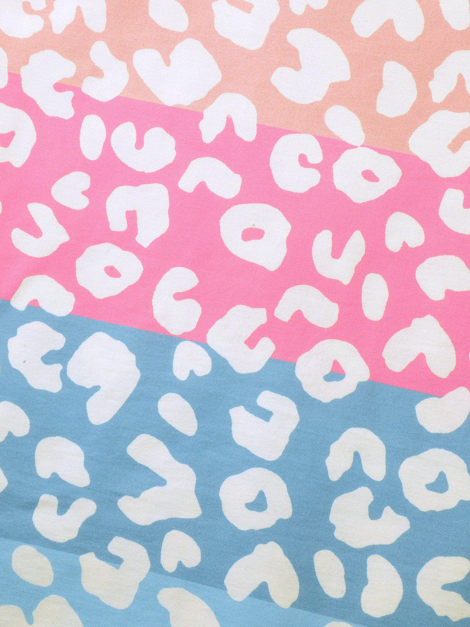 Leopard Print Color Gradient Tank Top sold by Bloomchic product image thumbnail 5