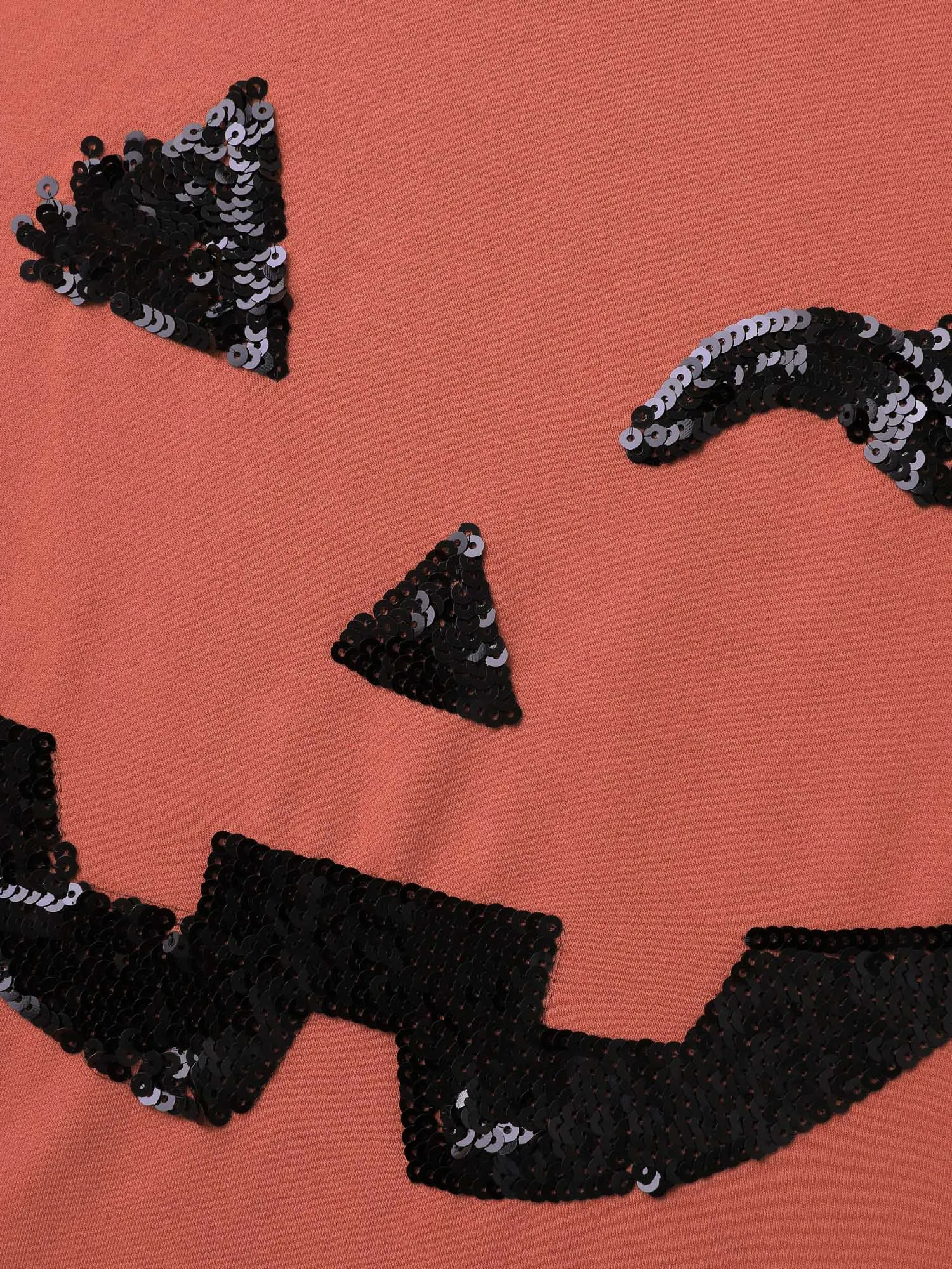 Supersoft Pumpkin Spice Sequin Embroidery Sweatshirt sold by Bloomchic product image thumbnail 5