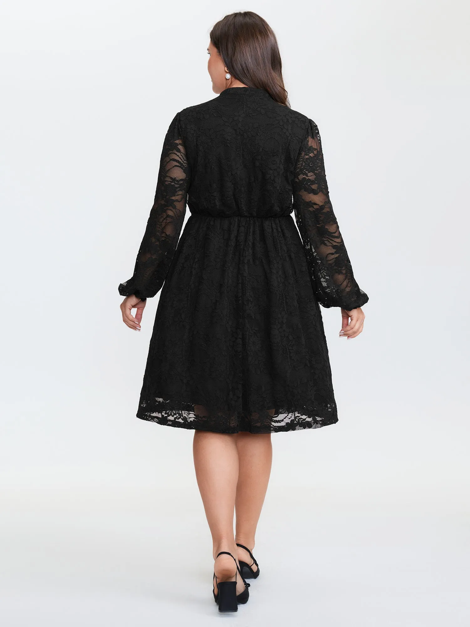 Sheer Lace Sleeve Waist-Defining Midi Dress sold by Bloomchic product image thumbnail 5