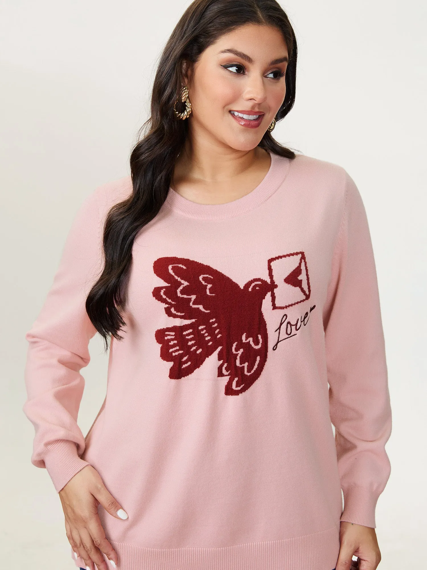 Romantic Pigeon Jacquard Pattern Pullover sold by Bloomchic product image thumbnail 3