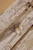 18K Gold Plated Precious Pearls Earrings Gold sold by Fortunate One