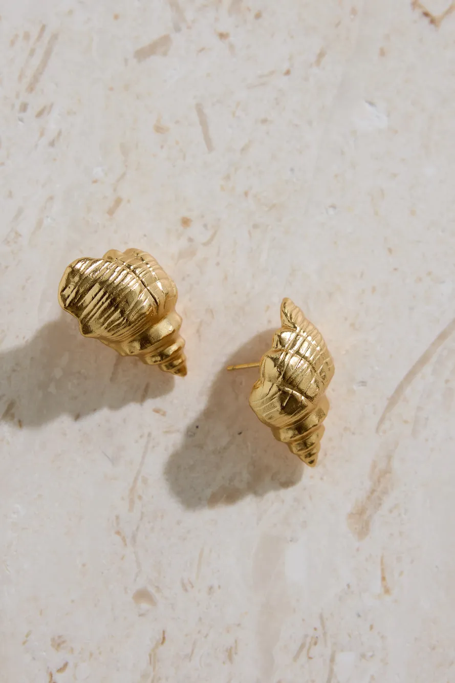 18K Gold Plated Find Your Shell Earrings sold by Fortunate One product image thumbnail 4