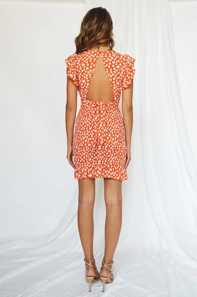 Hannah Dress sold by Fortunate One product image thumbnail 5