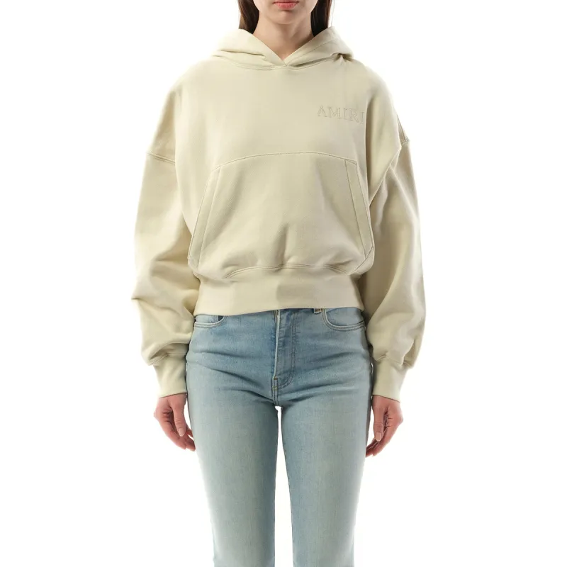 Amiri Embroidered Hoodie in Alabaster made by AMIRI