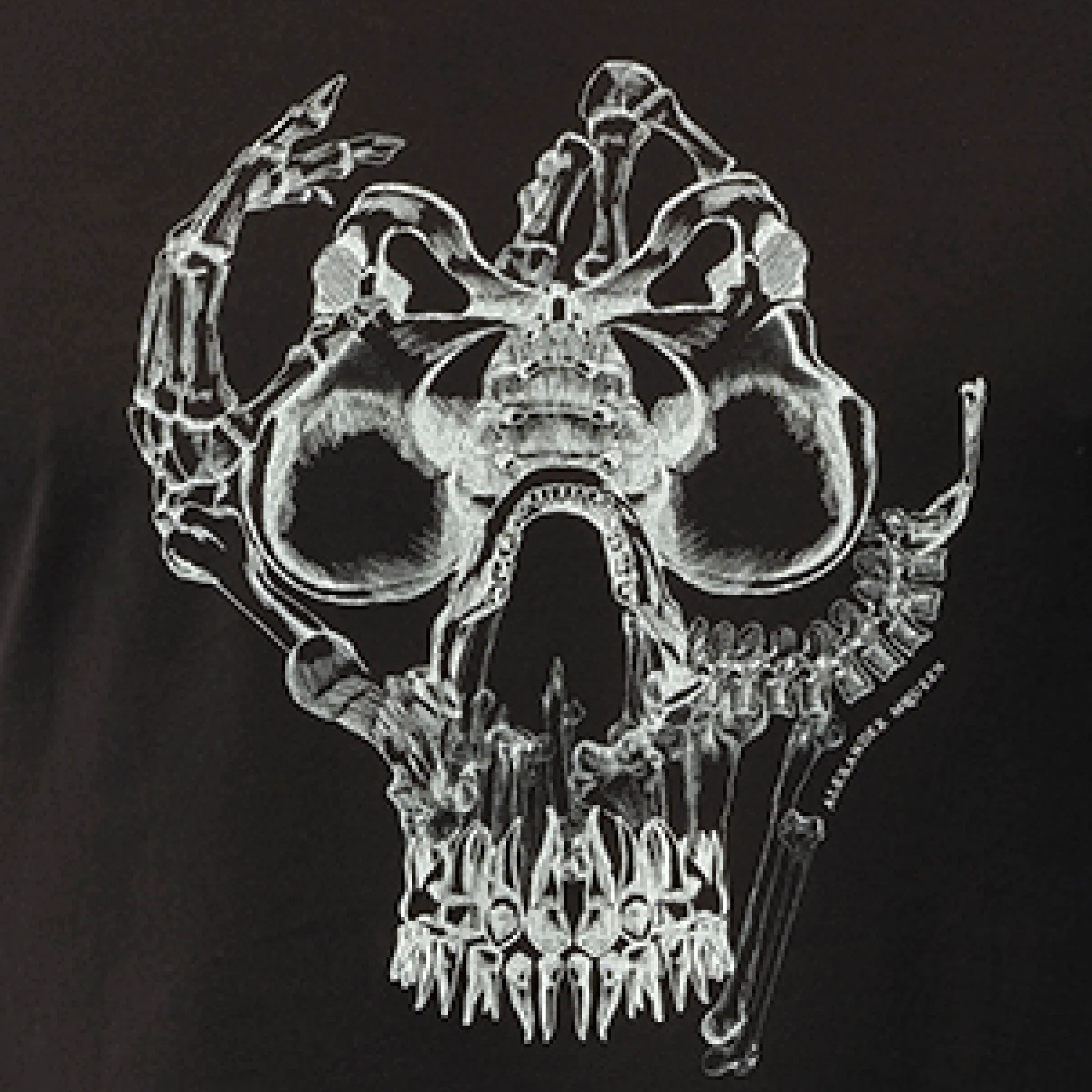 Skull Bones T-Shirt in Black sold by MARAIS product image thumbnail 3