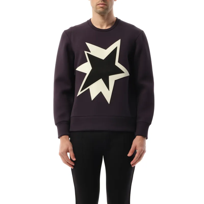 Sweatshirt in Purple sold by MARAIS