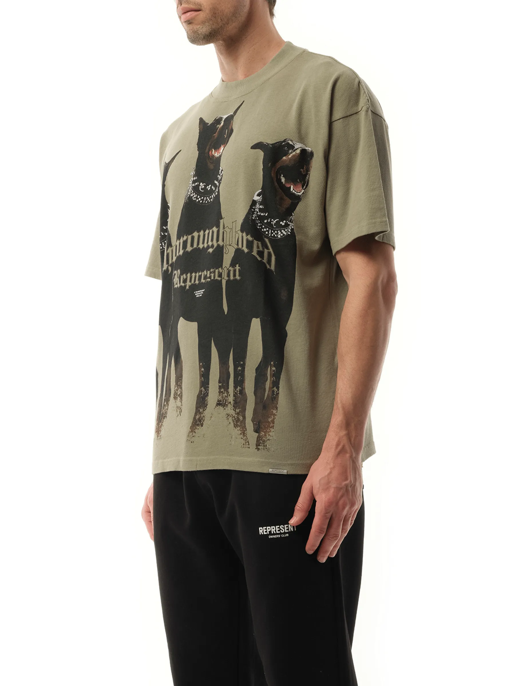 Thoroughbred T-Shirt in Khaki sold by MARAIS product image thumbnail 5