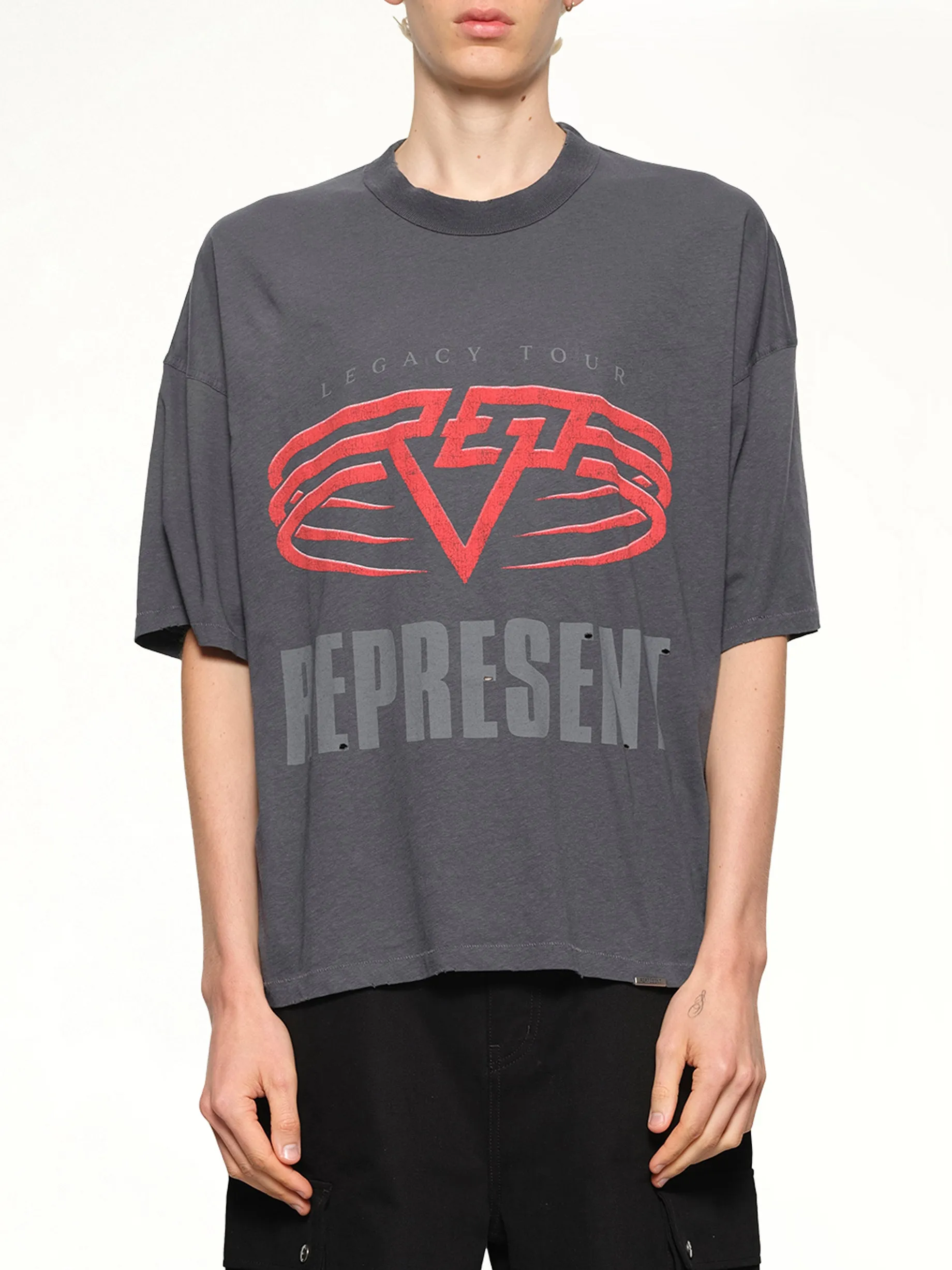 Reversible Living Legacy Falcon T-Shirt in Sun Fade Grey sold by MARAIS