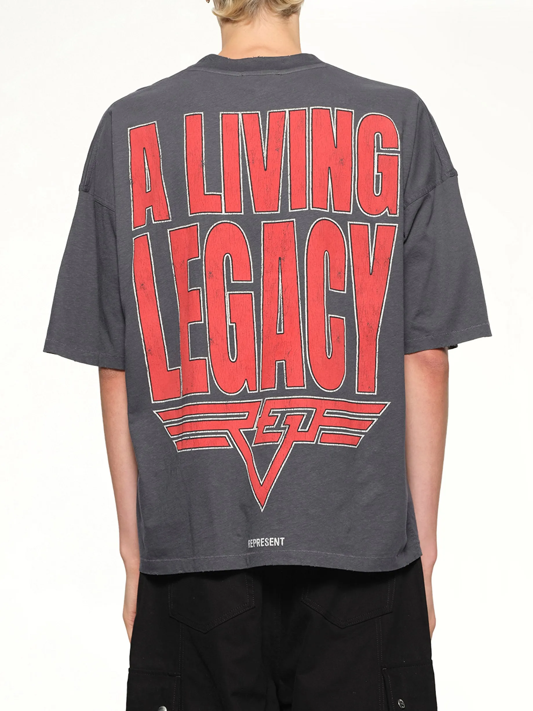 Reversible Living Legacy Falcon T-Shirt in Sun Fade Grey sold by MARAIS product image thumbnail 5