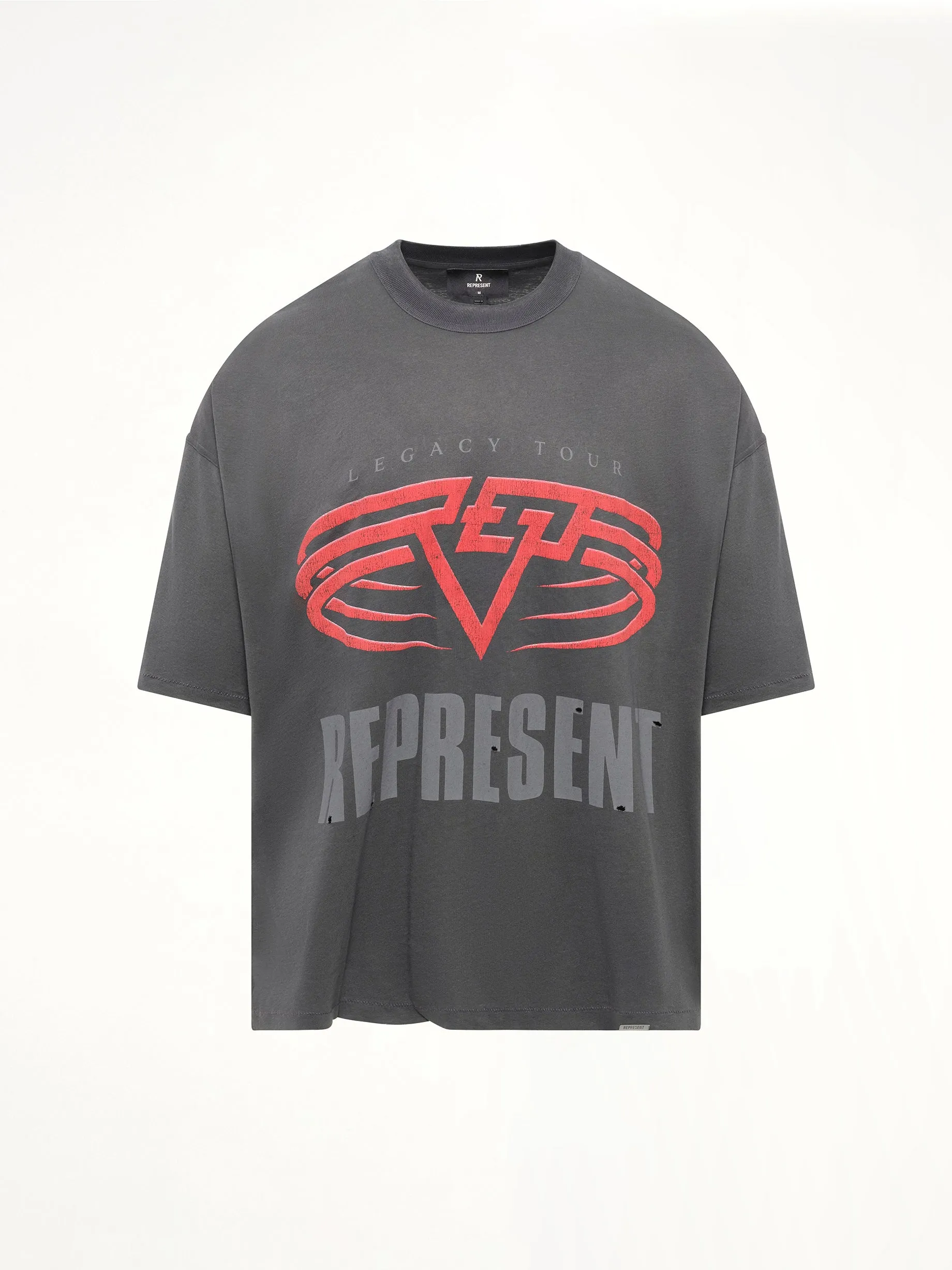 Reversible Living Legacy Falcon T-Shirt in Sun Fade Grey sold by MARAIS product image thumbnail 2