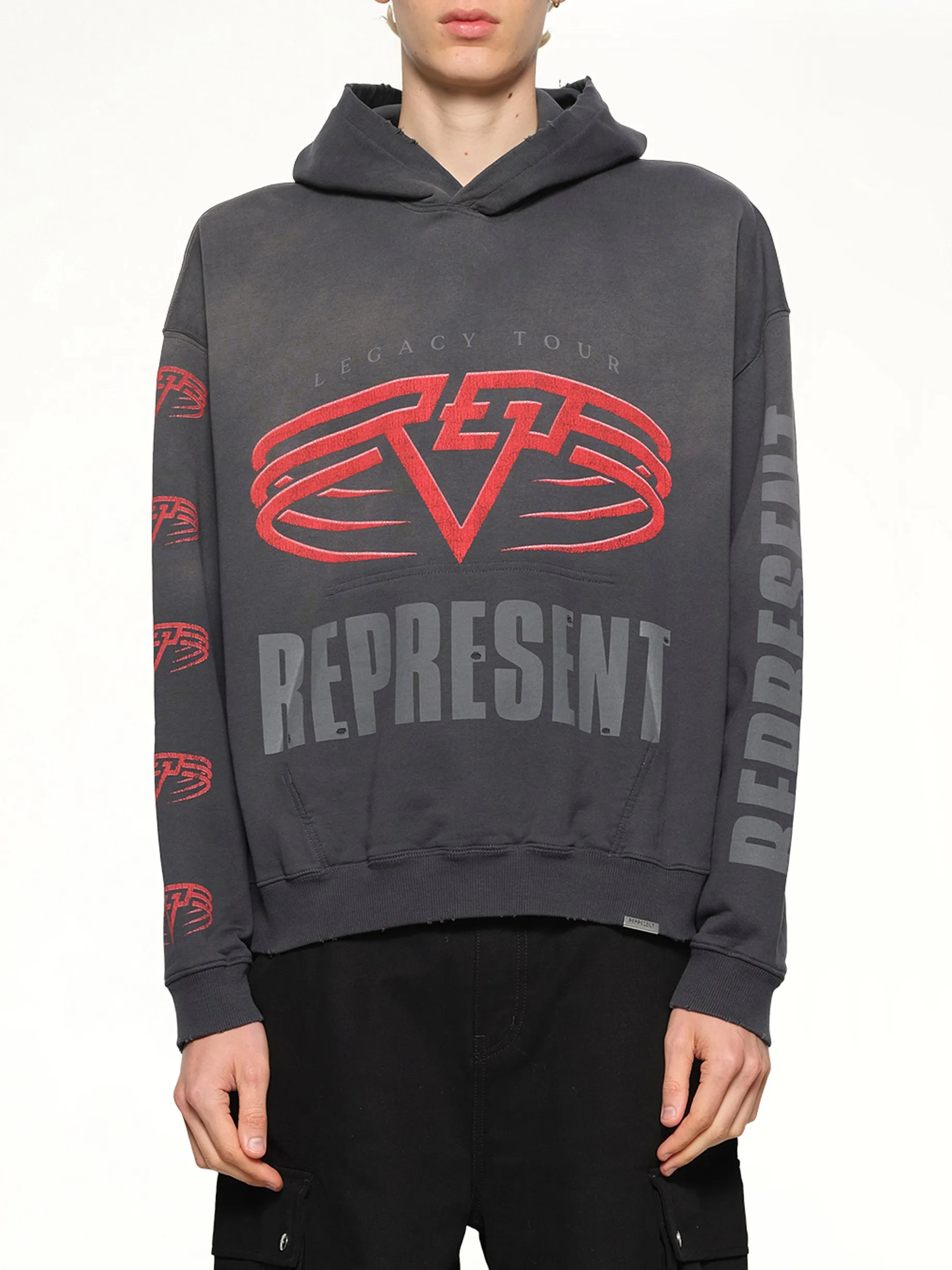 Reversible Living Legacy Falcon Hoodie in Sun Fade Grey sold by MARAIS