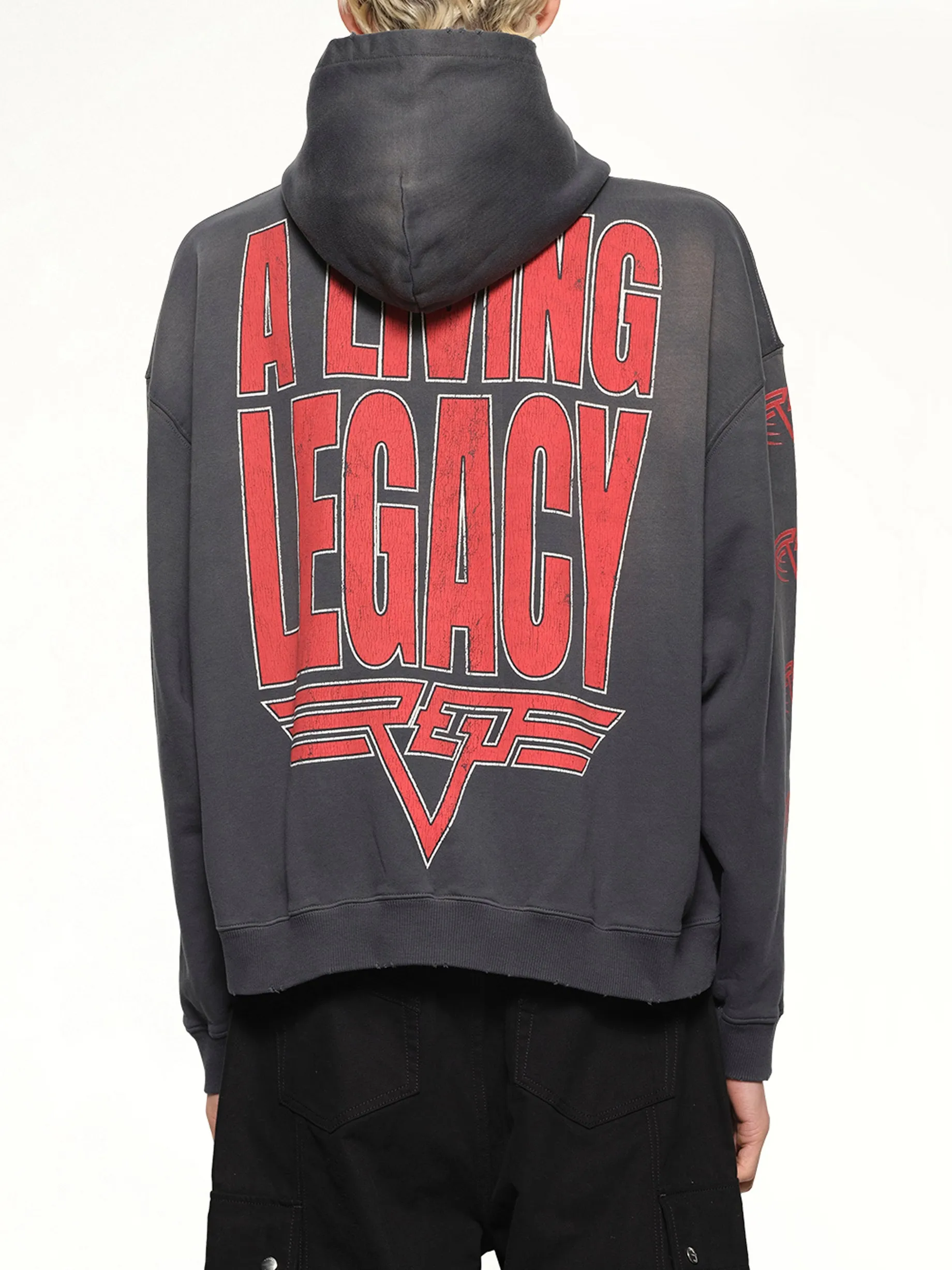 Reversible Living Legacy Falcon Hoodie in Sun Fade Grey sold by MARAIS product image thumbnail 5