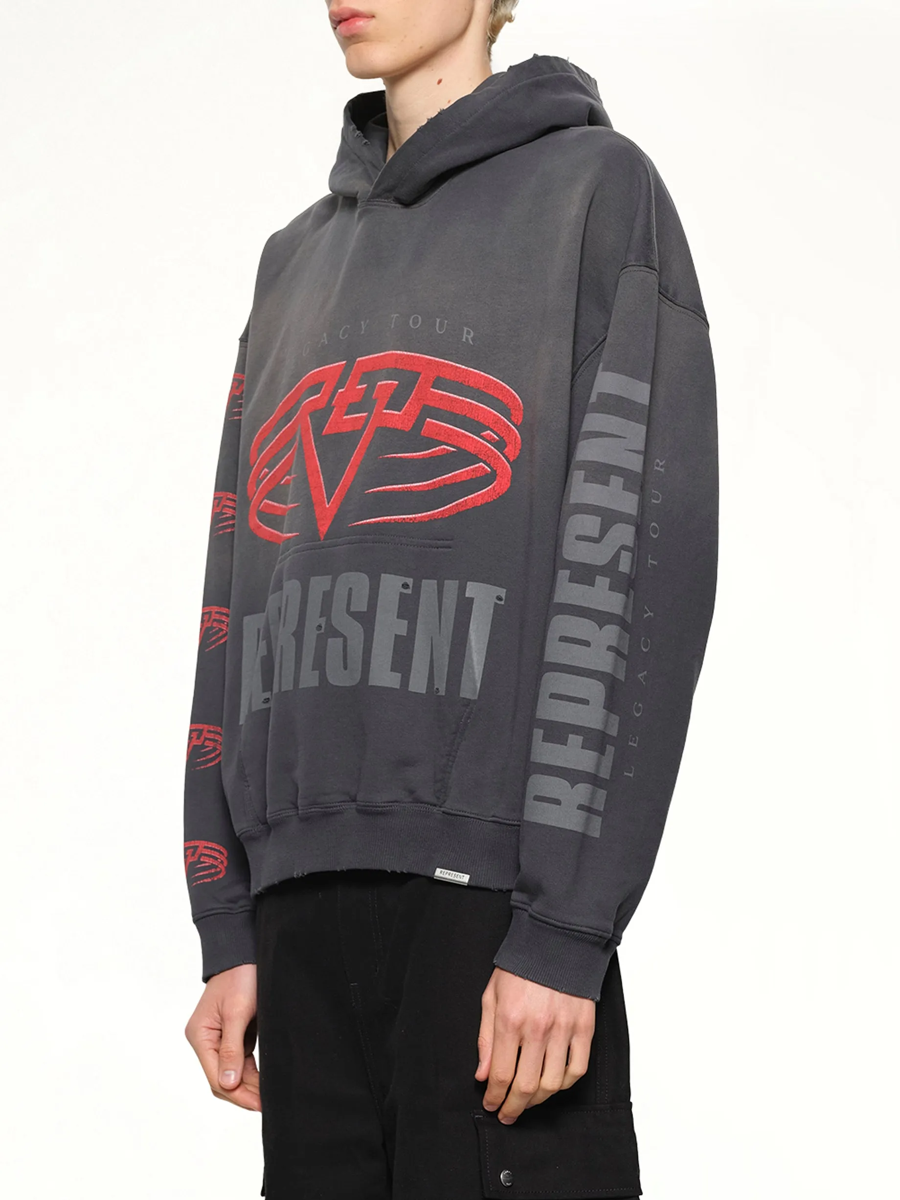 Reversible Living Legacy Falcon Hoodie in Sun Fade Grey sold by MARAIS product image thumbnail 3