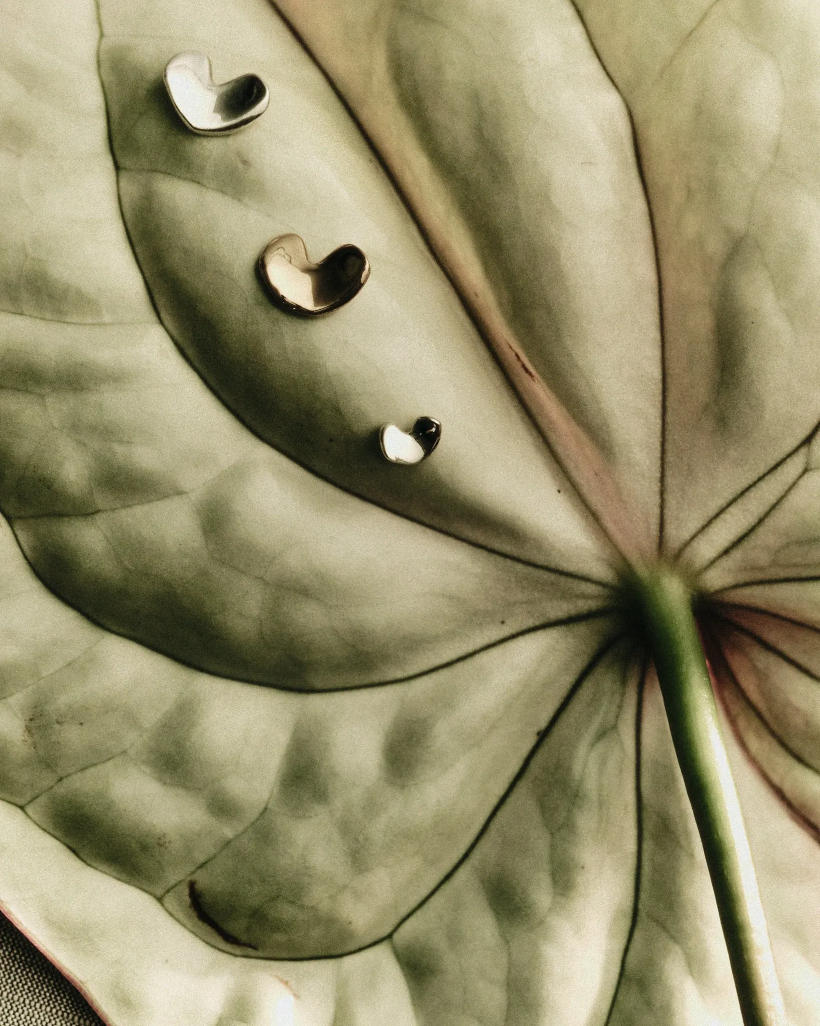 14k Sculpted Heart Studs sold by AGMES product image thumbnail 3