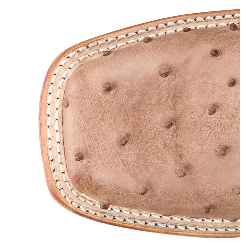 Moseley 11 Inch Full Quill Ostrich Square Toe Cowboy Boots sold by Shoebacca product image thumbnail 4