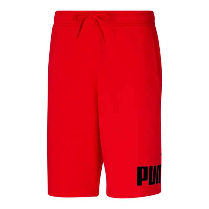 Big Fleece Logo 10 Inch Shorts sold by Shoebacca