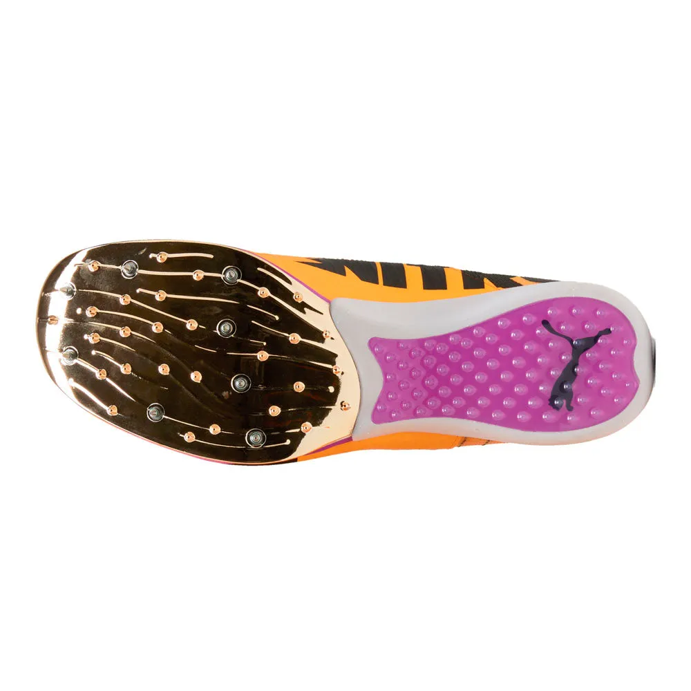Evospeed Triple Jump NITRO Elite Running Shoes sold by Shoebacca product image thumbnail 5