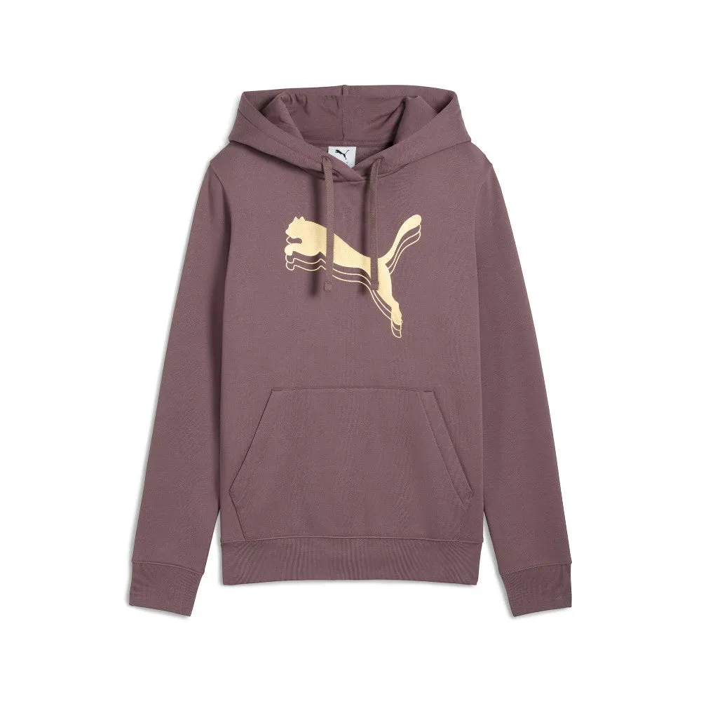 Essentials Metallic Pullover Hoodie sold by Shoebacca