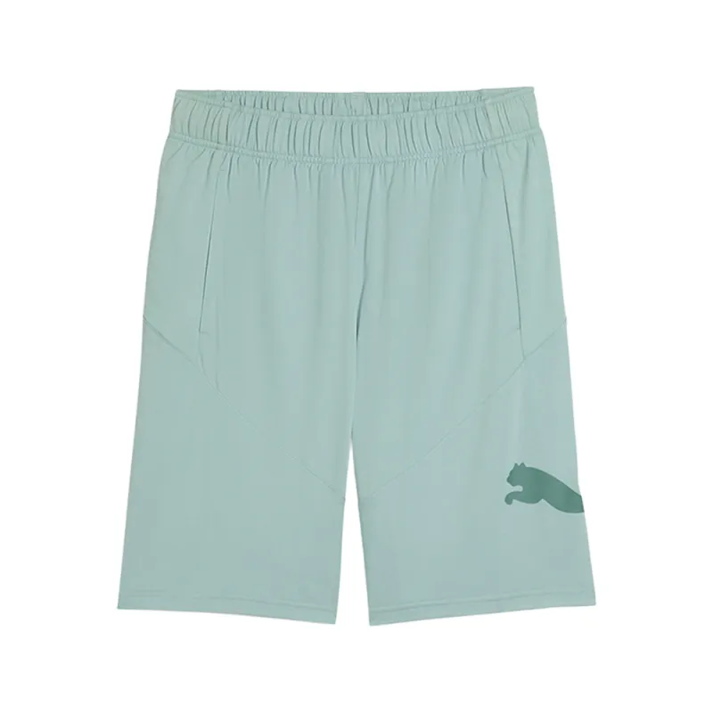 Train 10 Inch Shorts made by Puma