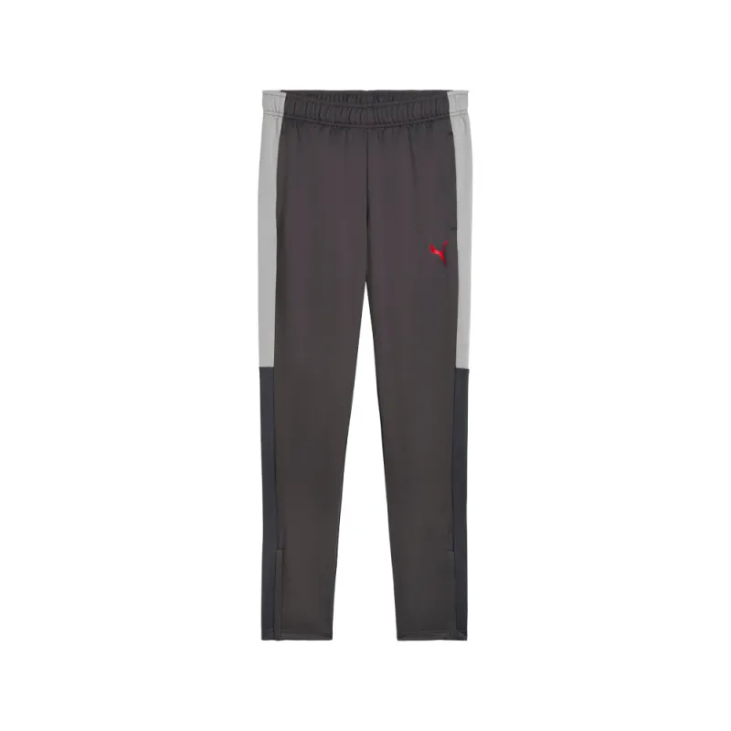 Individualliga Training Pants made by Puma
