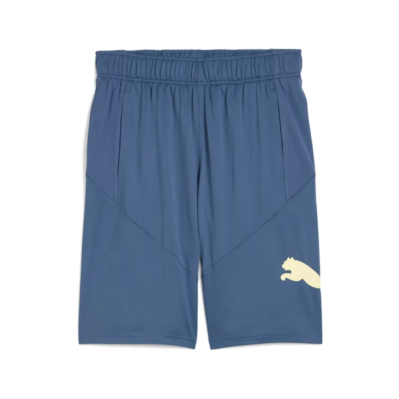 Train 10 Inch Shorts made by Puma