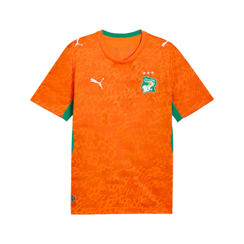 Côte d'Ivoire Home Crew Neck Short Sleeve Soccer Jersey made by Puma