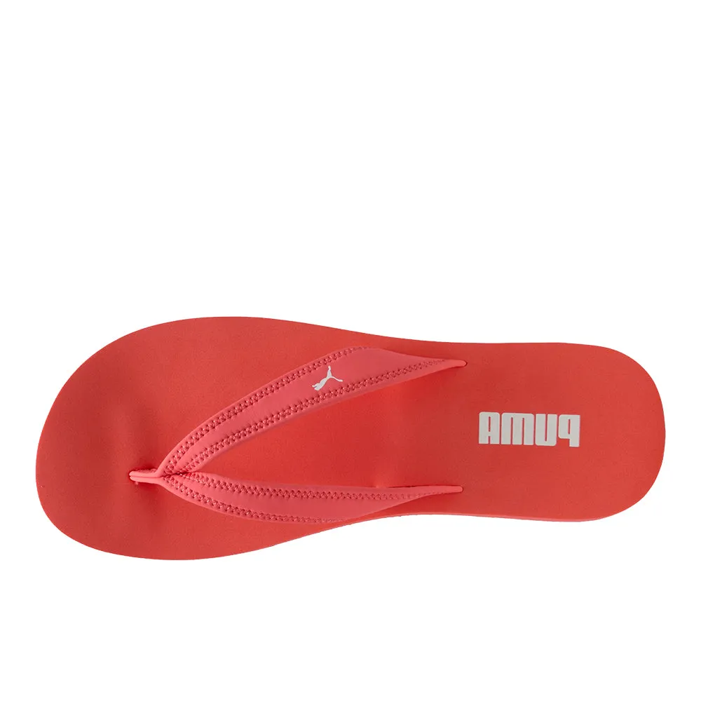 Sandy Flip Flip Flops sold by Shoebacca product image thumbnail 4