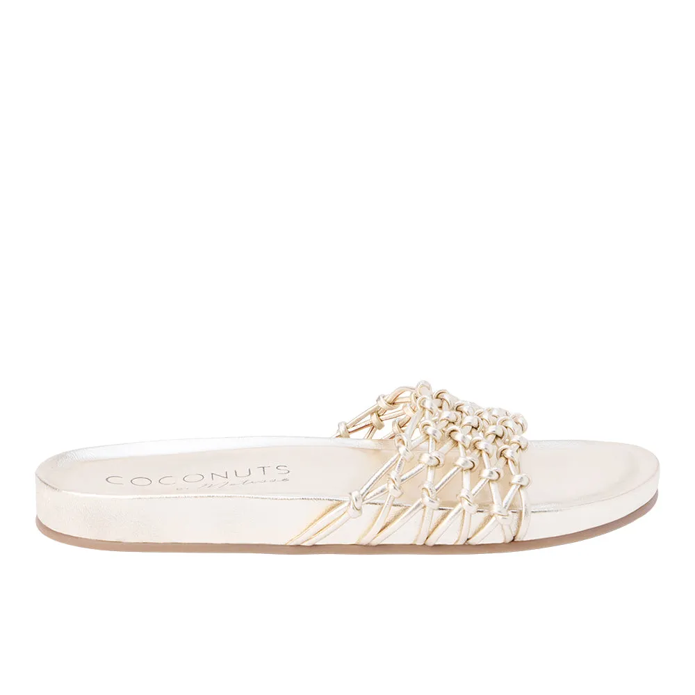 Harvey Slide Sandals sold by Shoebacca