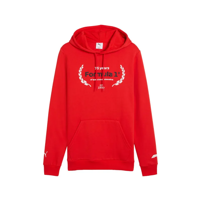 F1 Essentials Logo Graphic Pullover Hoodie made by Puma