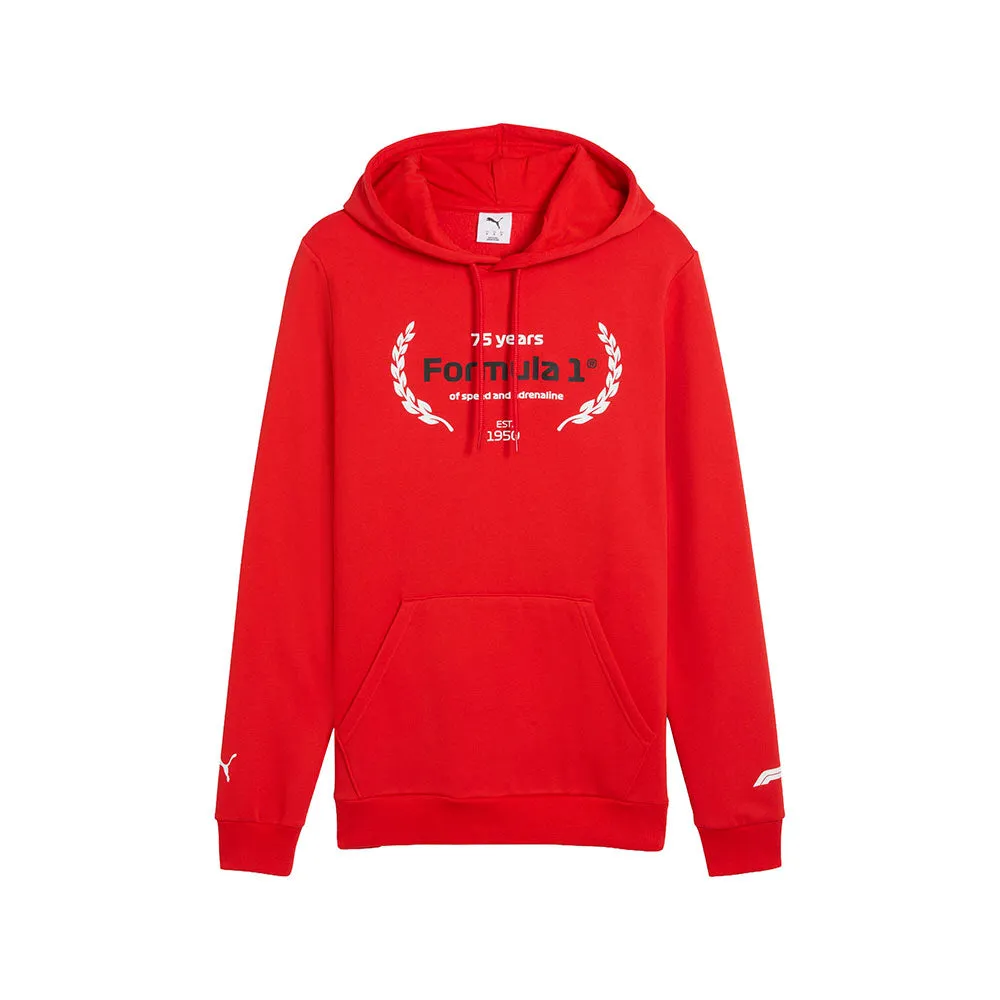 F1 Essentials Logo Graphic Pullover Hoodie sold by Shoebacca
