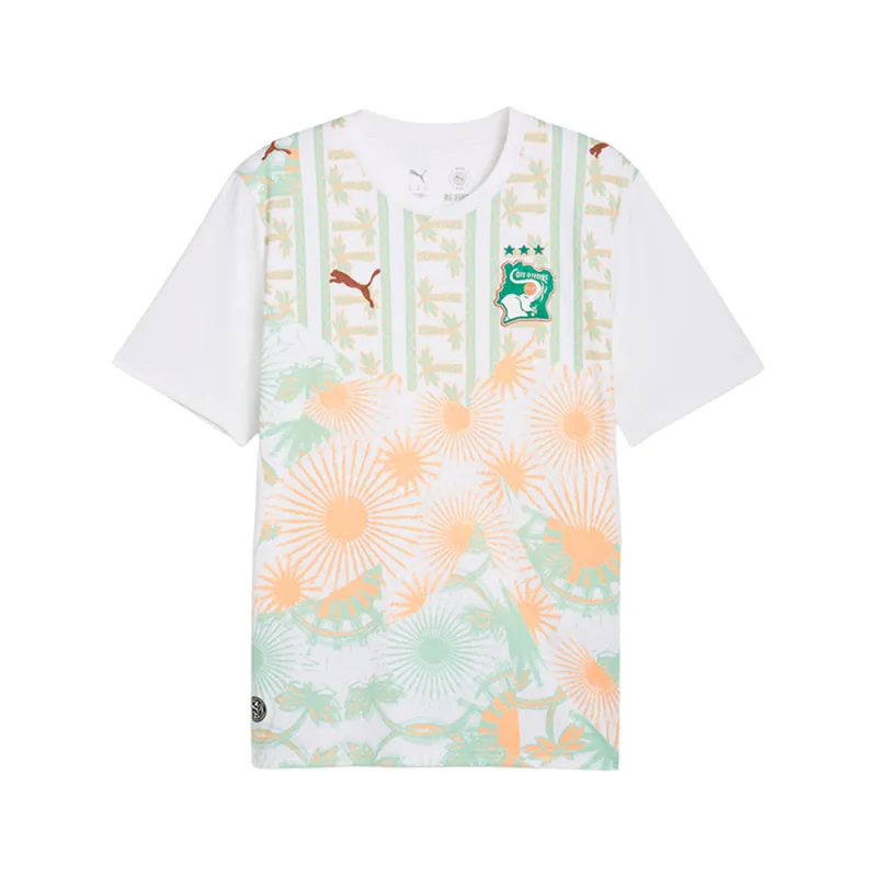 Cote d'Ivoire Crew Neck Short Sleeve Soccer Away Jersey Replica made by Puma