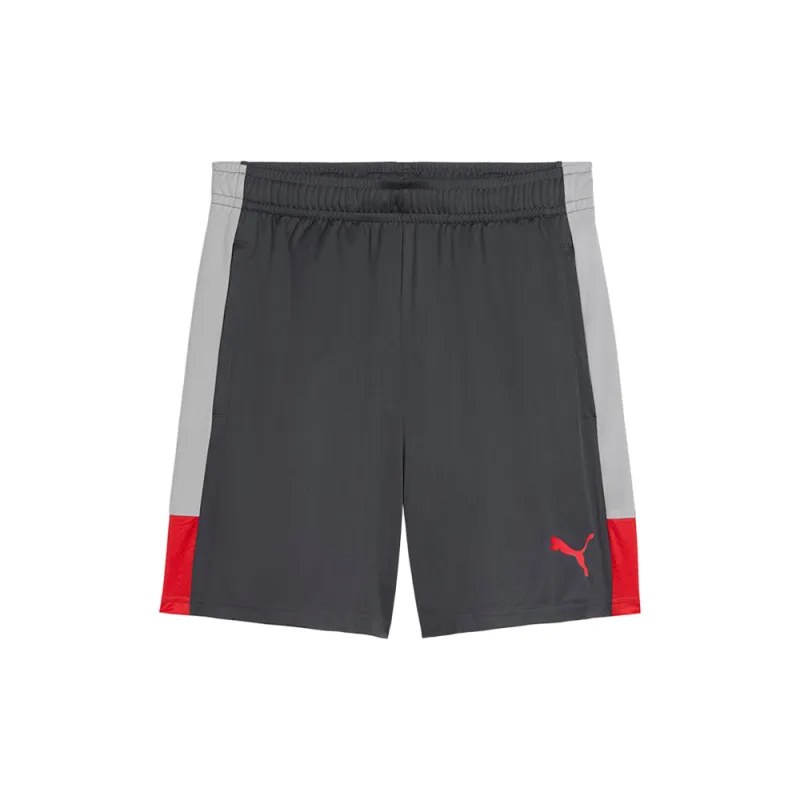 Individualliga Training Shorts made by Puma