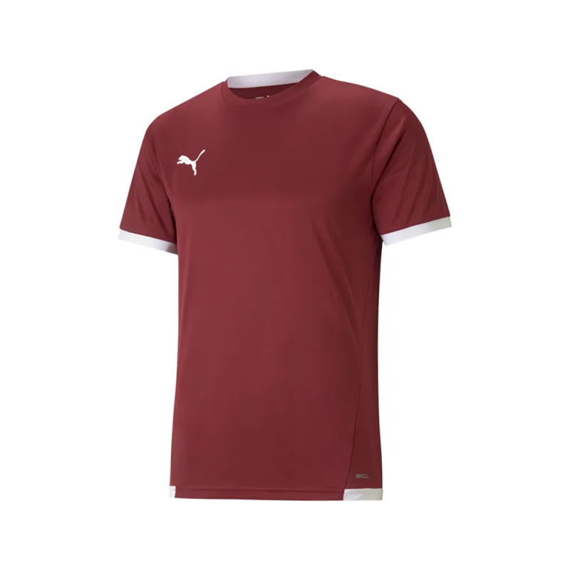 Teamliga Crew Neck Short Sleeve Soccer Jersey made by Puma