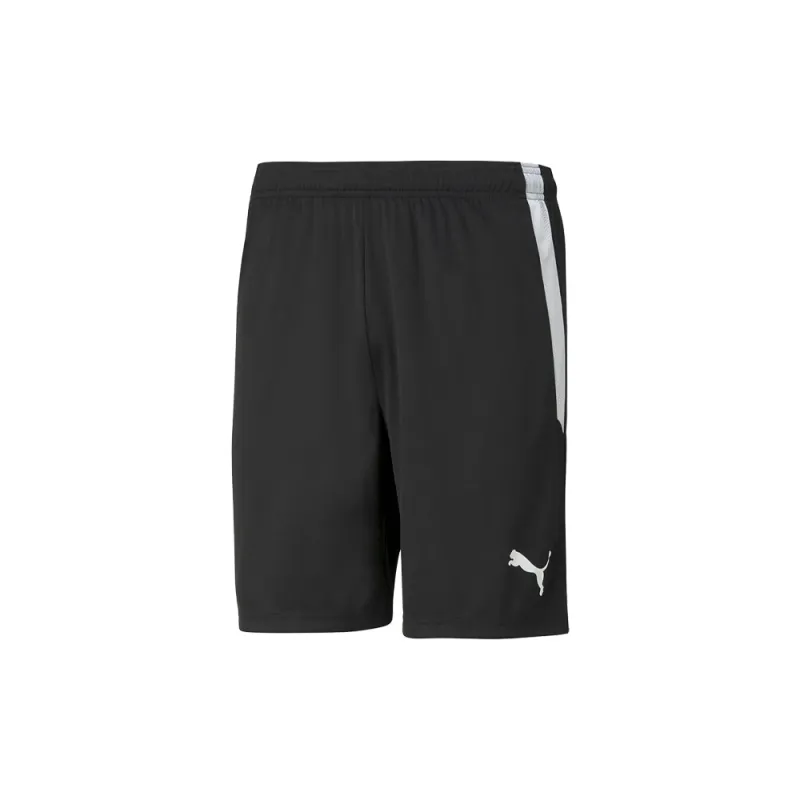 TeamLIGA Athletic Shorts made by Puma