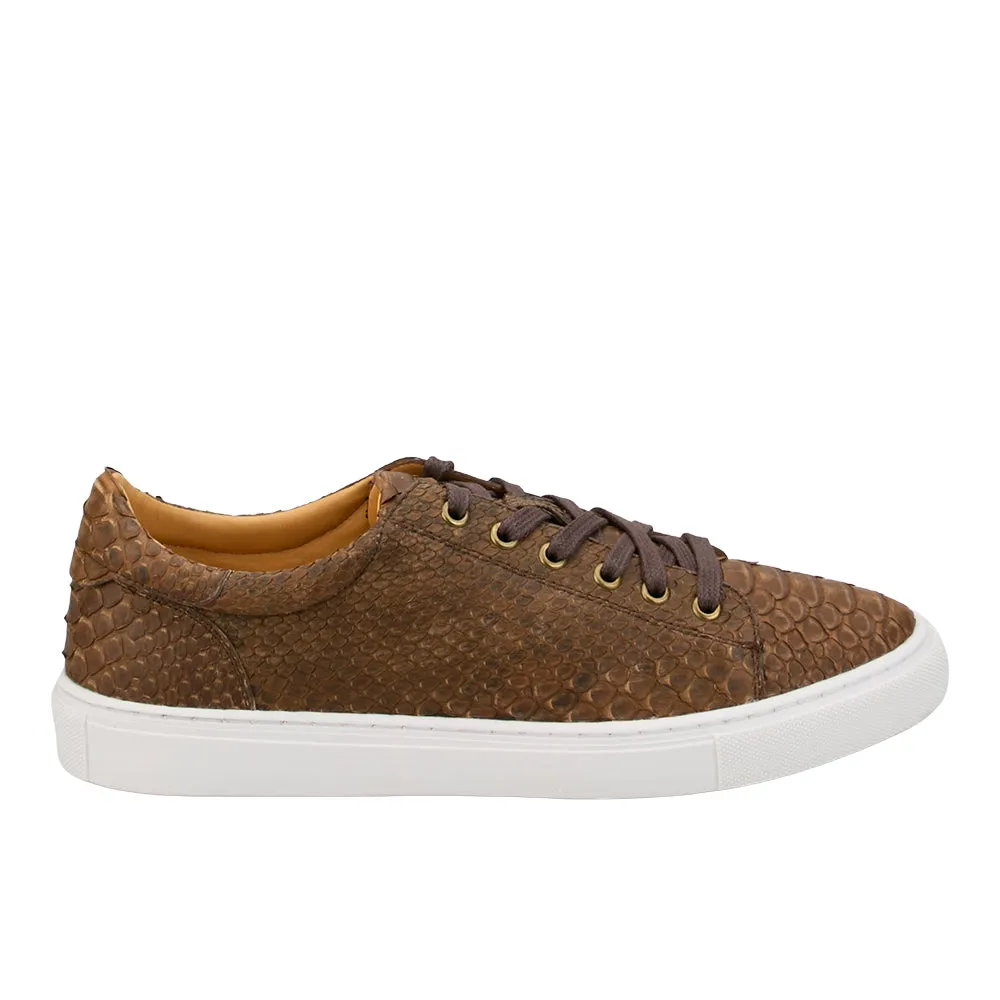 Mason Python Lace Up Sneaker sold by Shoebacca