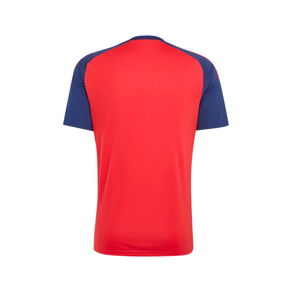 Spain 26 Home Fan Jersey sold by Shoebacca product image thumbnail 2