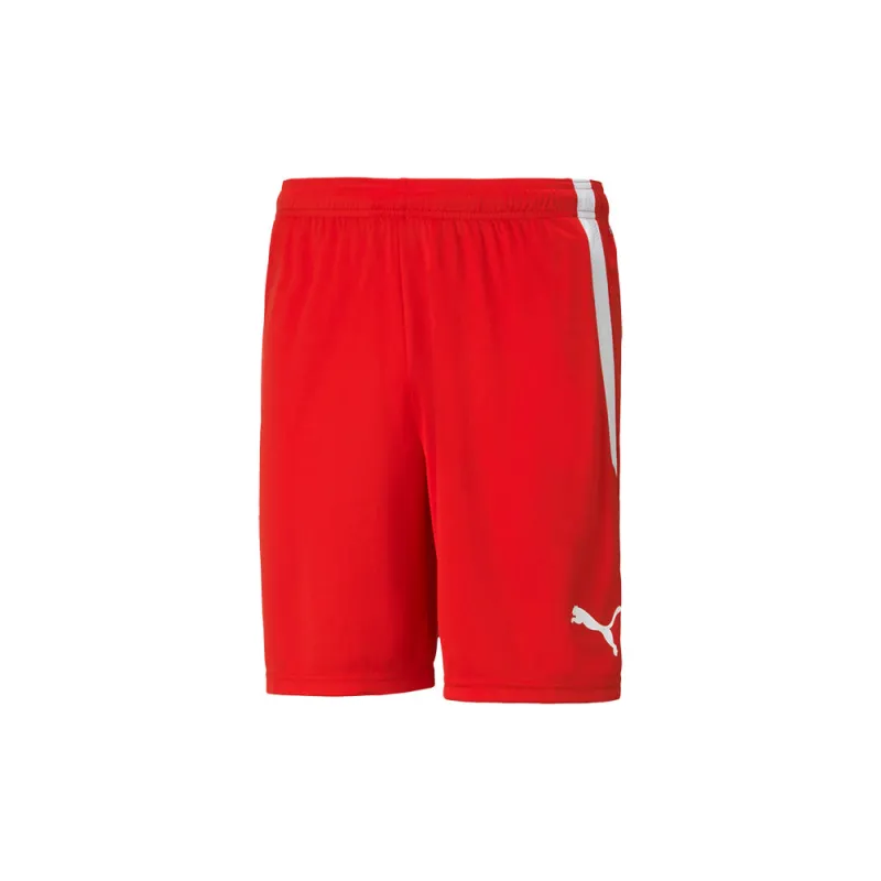 TeamLIGA Athletic Shorts made by Puma