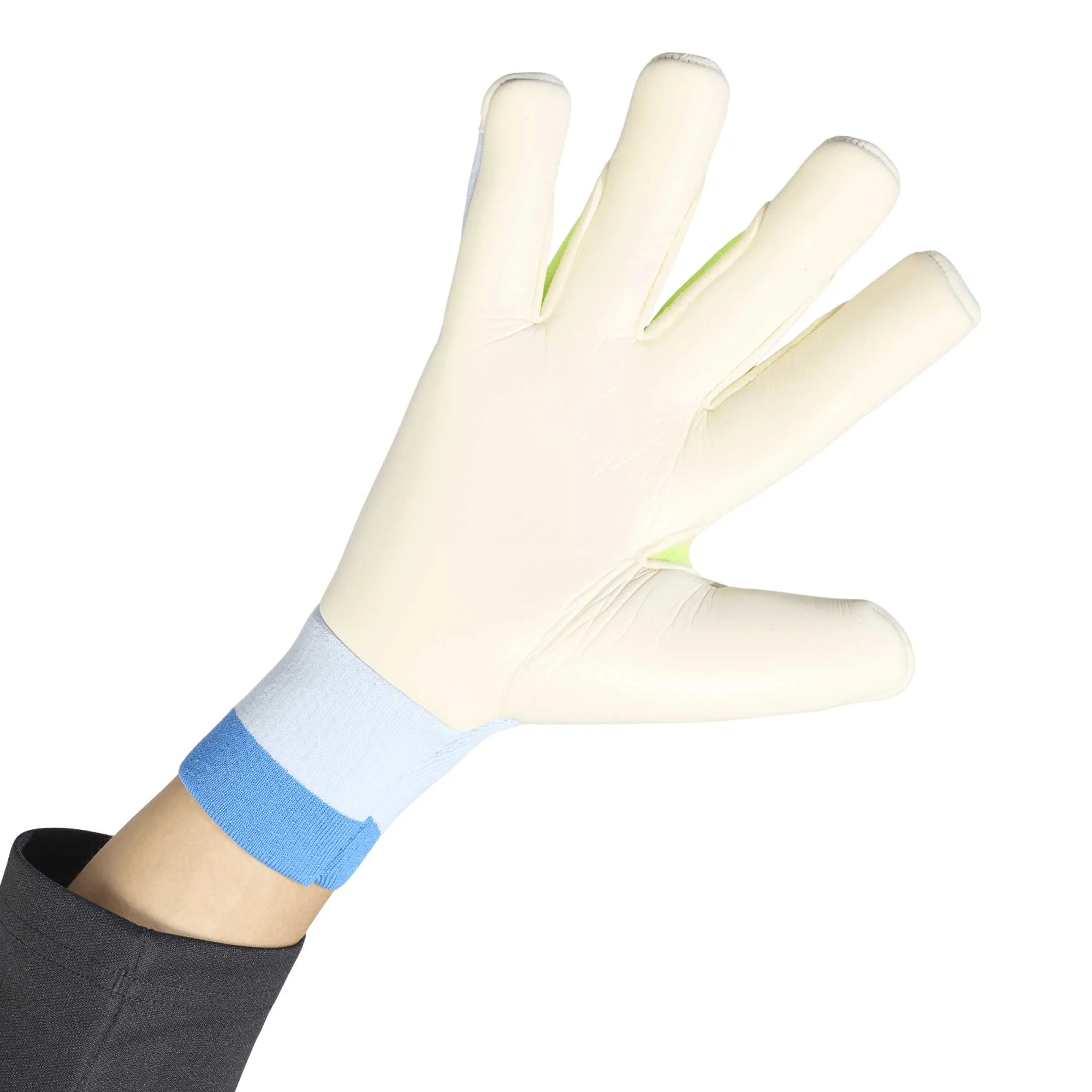 Predator Goalkeeper Glove Pro Hybrid Promo sold by Shoebacca product image thumbnail 3