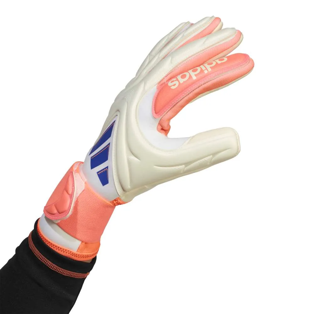 Copa Pro Promo Goalkeeper Gloves sold by Shoebacca product image thumbnail 2