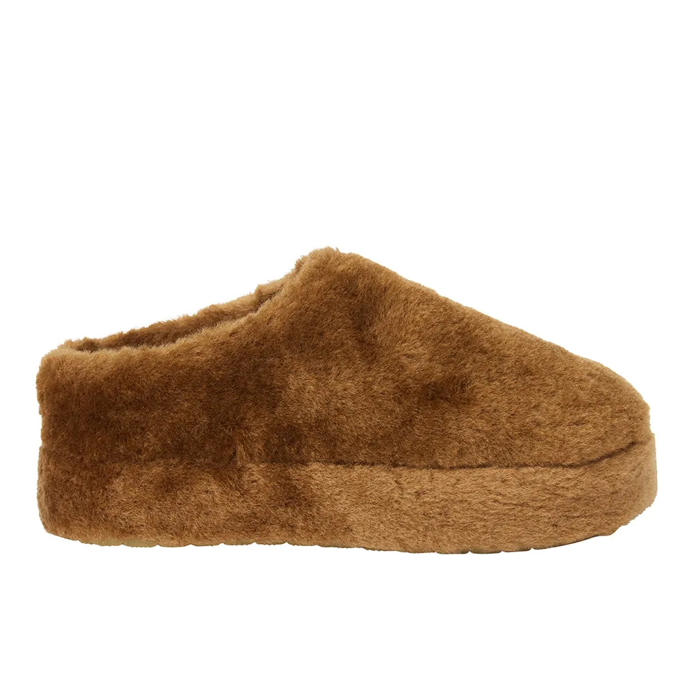 Claude Slipper sold by Shoebacca