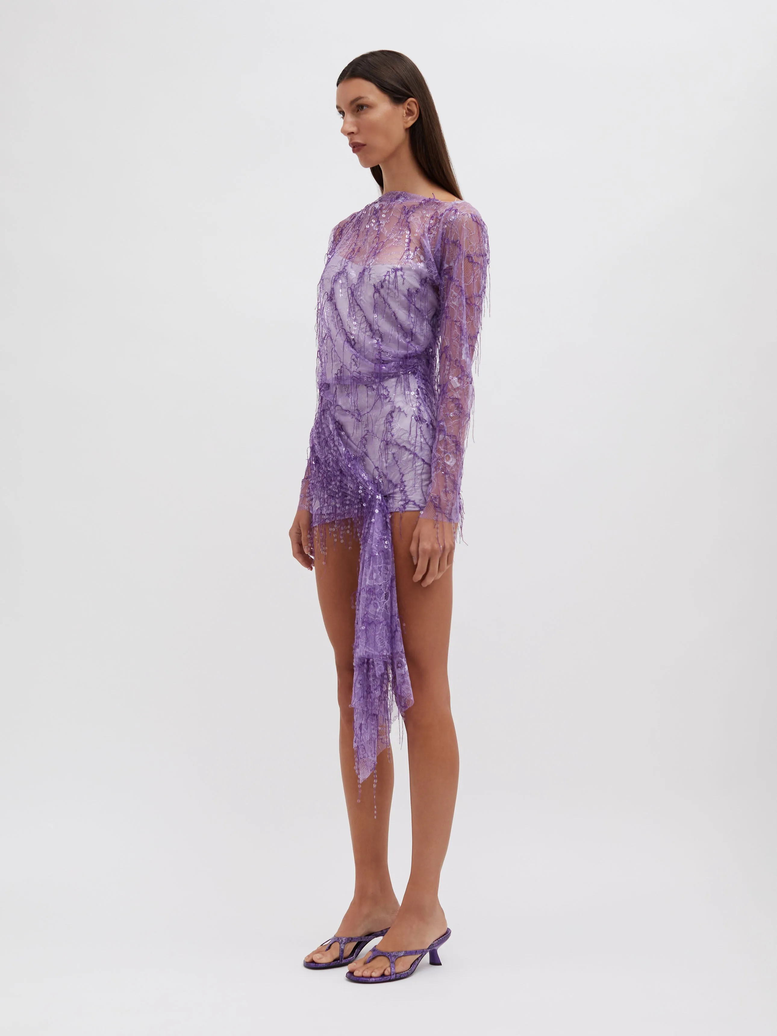 Encased Beaded Ivy Lace Long Sleeve Mini Dress sold by Christopher Esber product image thumbnail 4