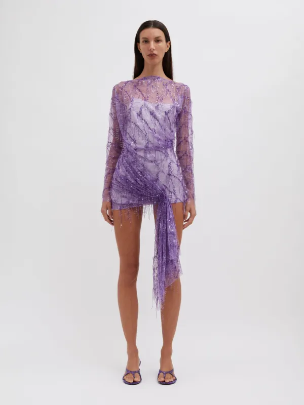 Encased Beaded Ivy Lace Long Sleeve Mini Dress sold by Christopher Esber